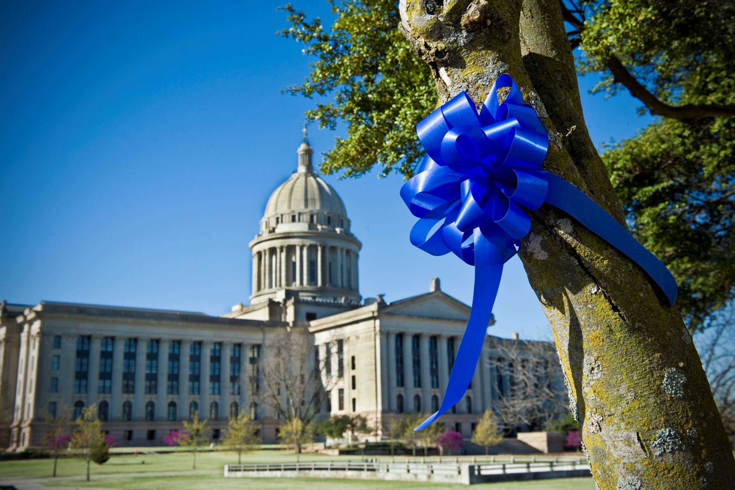 OSDH Invites Oklahomans to Create Blue Ribbon Trees for Child Abuse